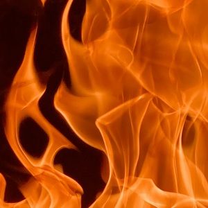 Meet your Posher, Alexea